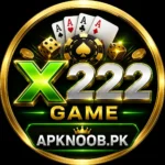 X222 Game