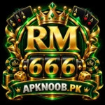 RM666 Game