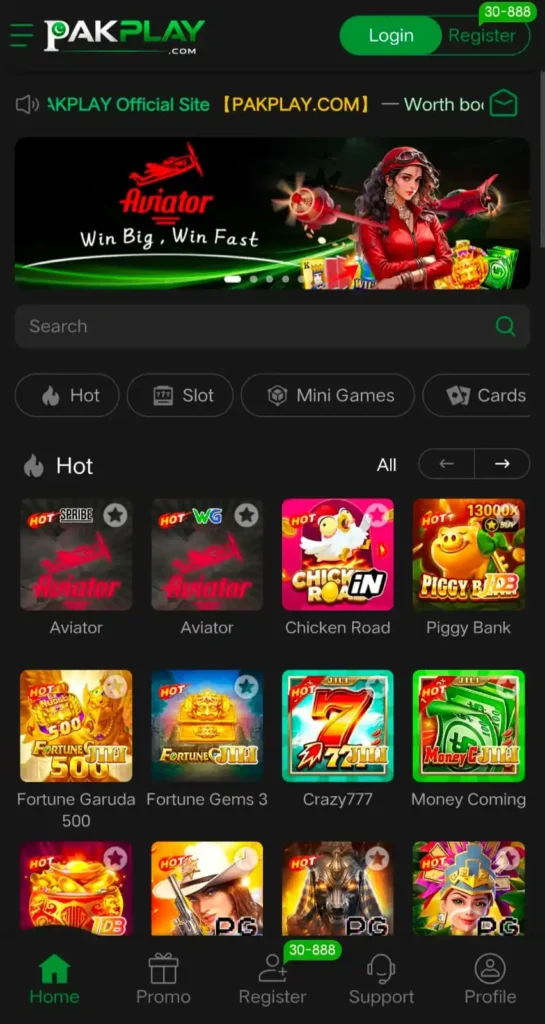 pakplay Game