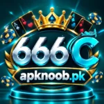 666C